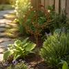 Iron Garden Stake with Aged-Look Brown Finish and Bird Detail for Flowers, Lawn Edges, and Suitable Soil Placement