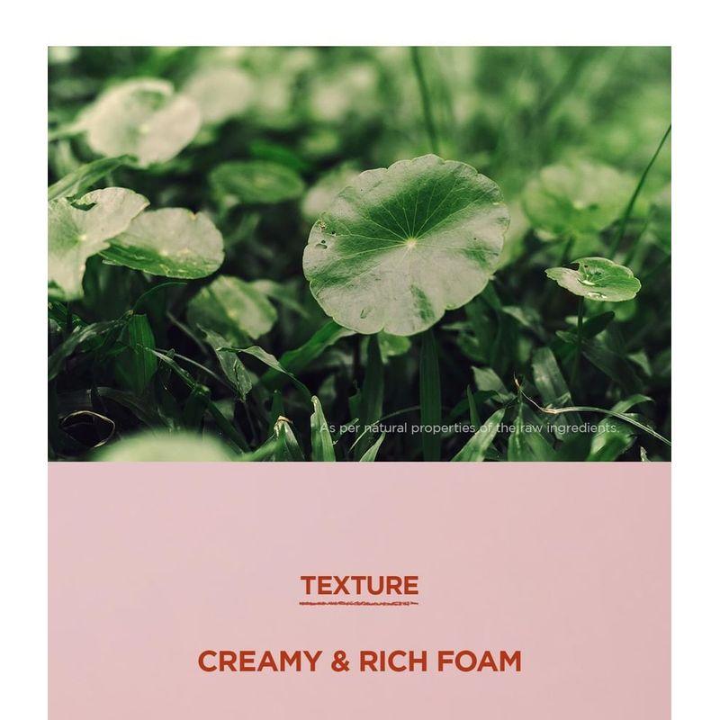 SKIN 1004 - Madagascar Centella Poremizing Deep Cleansing Foam