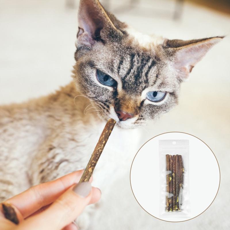 5pcs Pet Cat Snacks Stick Natural Wood Polygonum Stick Chew Molar Cleaning Teeth Tools Pet Supplies