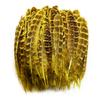 Naturlig fasanfjäder för kläder 4-6"/10-15CM Högkvalitetsfärgade kvinnliga fjädrar för hantverk Smycketillbehör Billiga plymer