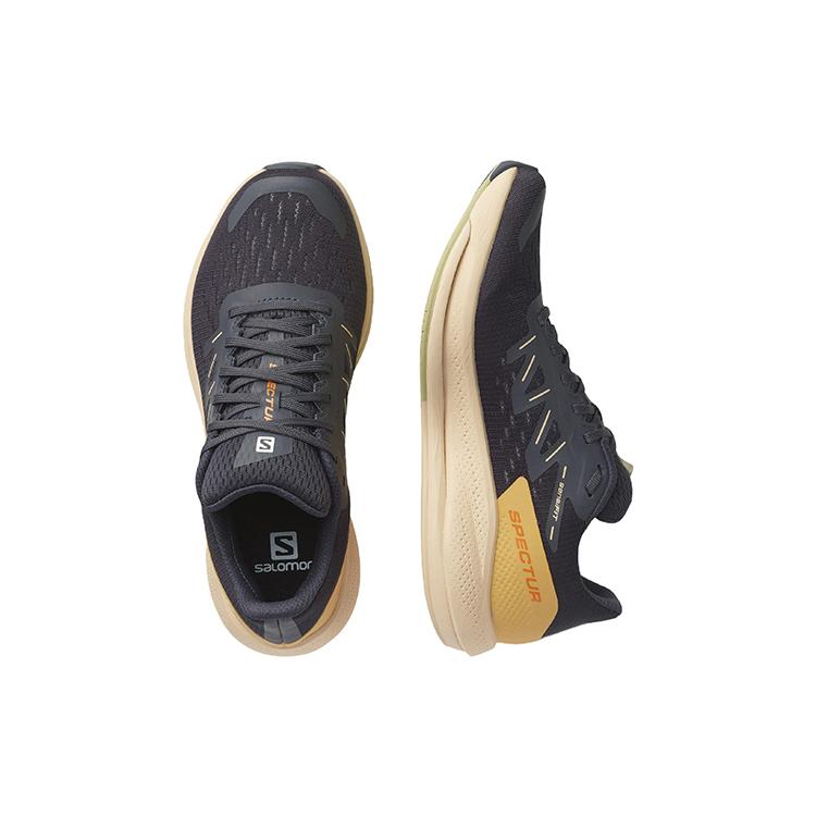 Salomon Spectur