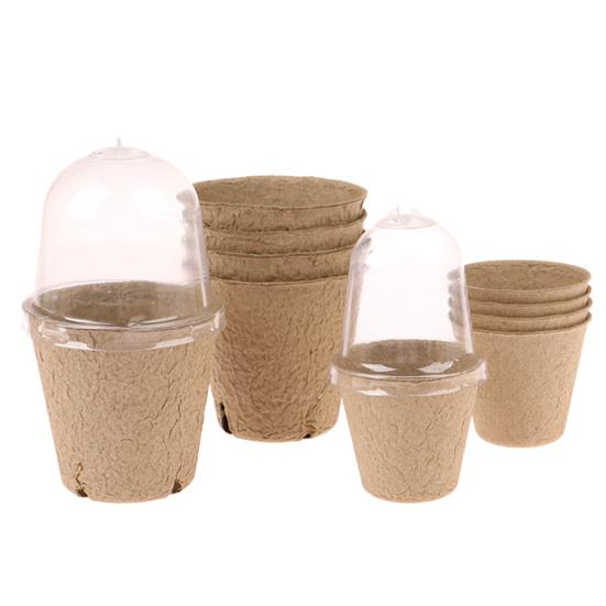10Pcs Plant Nursery Pot Biodegradable Ventilation Holes See-through Dome Disposable with Lid Flower Germination Pulp Plant Nursery Pot Home Supply