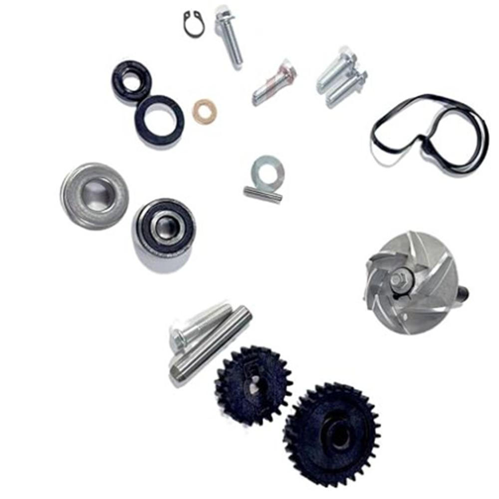 Pumpenbaugruppe 0800-08000A ist geeignet für cfmoto cforce zforce 800