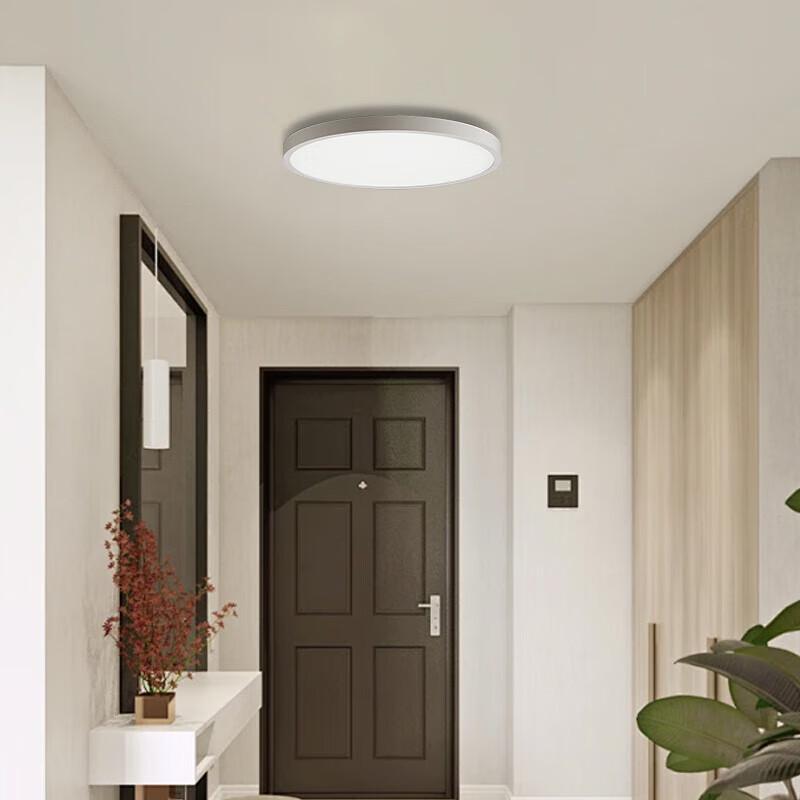 Xiaomi Mijia Smart Ceiling Lamp D20