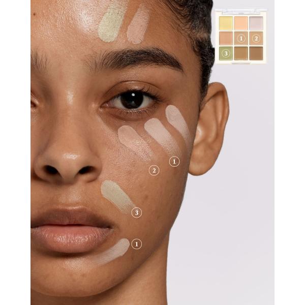 DASIQUE Pro Concealer Palette 9g (2 Colors)