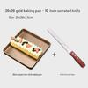 ZISIZ 28x28 Cake Roll Baking Pan