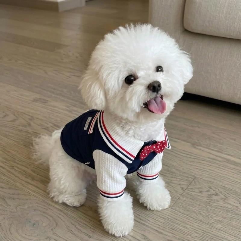Autumn and Winter Pet Plush Warm Shirt Teddy Cat Dress Dog Coat Dog Clothes for Small Dogs Puppy Clothes