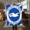 Brighton Team Logo,pattern Flannel Blanket, High Quality Comfortable for All Seasons, Home Decor, Warmth and Comfort, Perfect for Gifts.