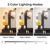 Hollywood Makeup Vanity Mirror Light Stick On Profesjonell justerbar 3 farger LED USB-pærer streng Trinnløs dimbar lampe