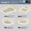 Modern Minimalist Ceiling Light Package with Smart Home Integration for Whole House
