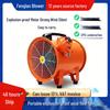 Explosion-Proof 220V Portable Axial Fan with Duct for Mobile Exhaust and Tunnel Spray Painting