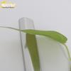 Leapmotor C11 Car Window Stainless Steel Trim: Anti-Scratch Accessories for 2023 Models