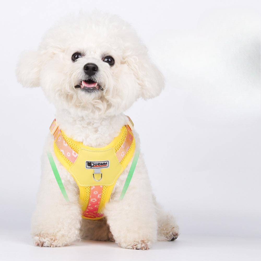 Dog Traction Chest Strap Small and Medium-sized Dog Dopamine Contrast Color Dog Chest and Back Out Breathable Mesh Cloth Puppy Traction Rope