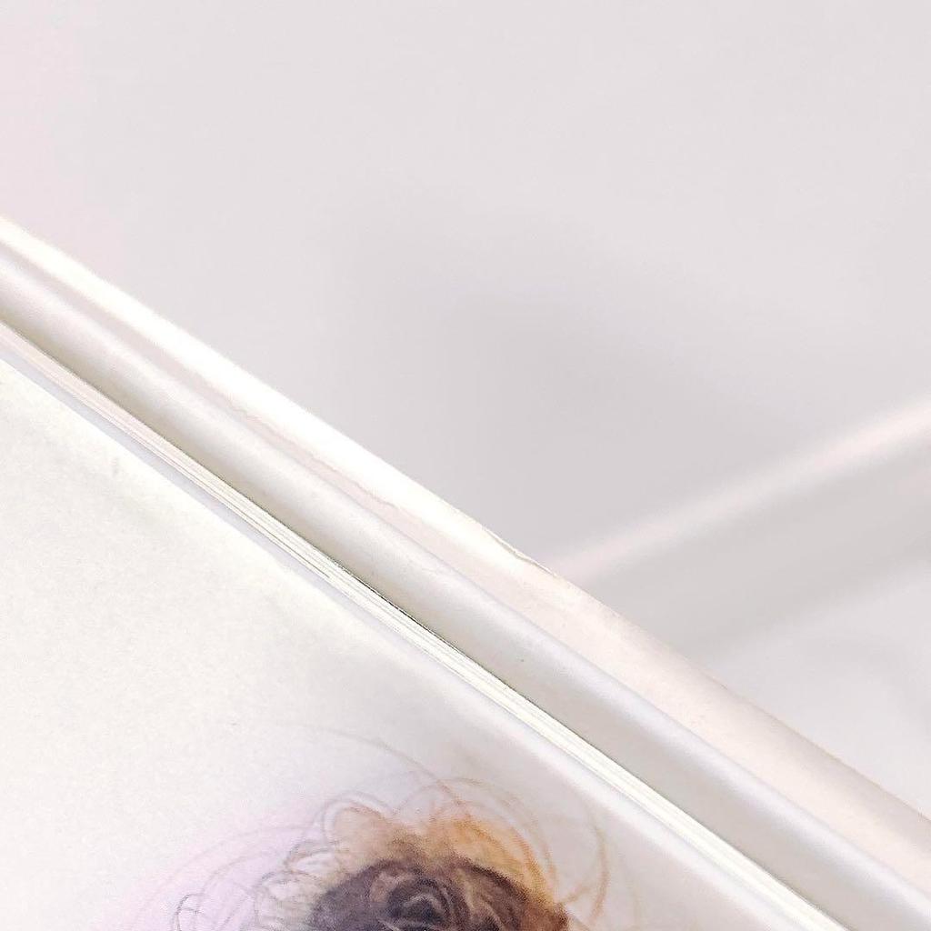 [USED] Published in 1993 Hajime Sorayama Gynoid THE GYNOIDS Illustration Collection