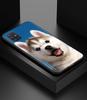 Alaskan Husky Dog Cute Puppy Phone Case for Samsung Galaxy A51 A71 A21S A12 A11 A31 A52 A41 A32 A72 A02S A01 5G Silicon Cover