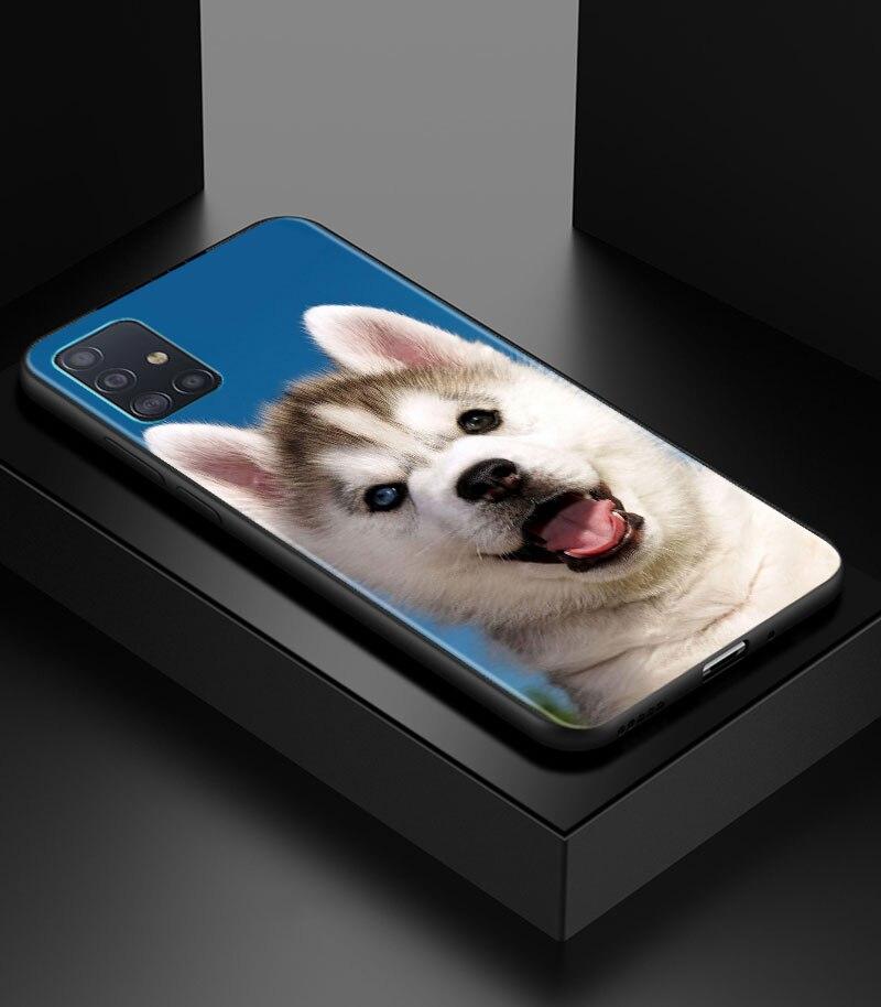 Alaskan Husky Dog Cute Puppy Phone Case for Samsung Galaxy A51 A71 A21S A12 A11 A31 A52 A41 A32 A72 A02S A01 5G Silicon Cover