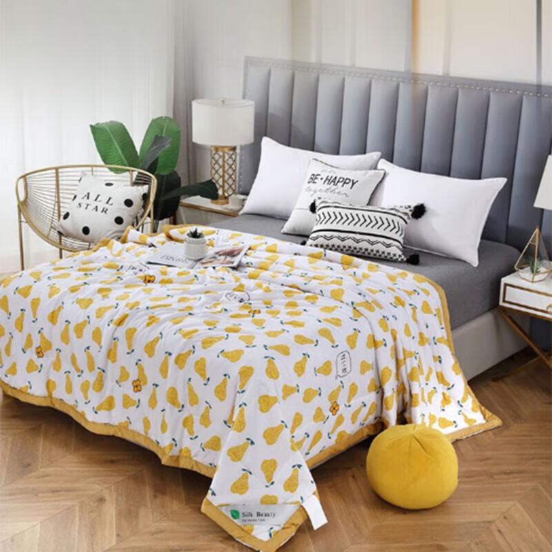 

Junxiang Zhenxin Artemisia Velvet Summer Quilt