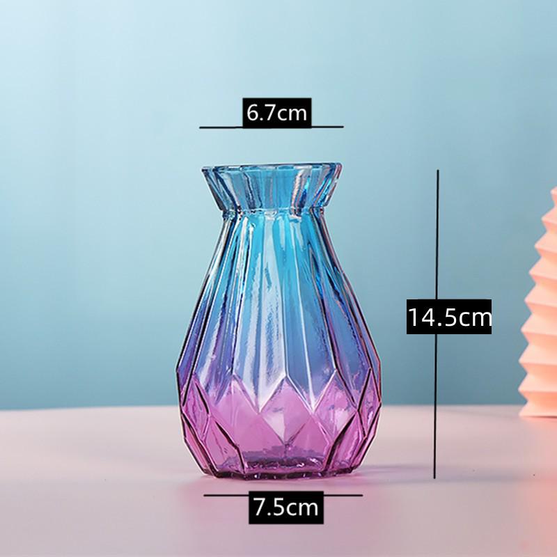 European Glass Vase for Fresh or Dried Flowers - Simple, Creative Home Decor Ornament