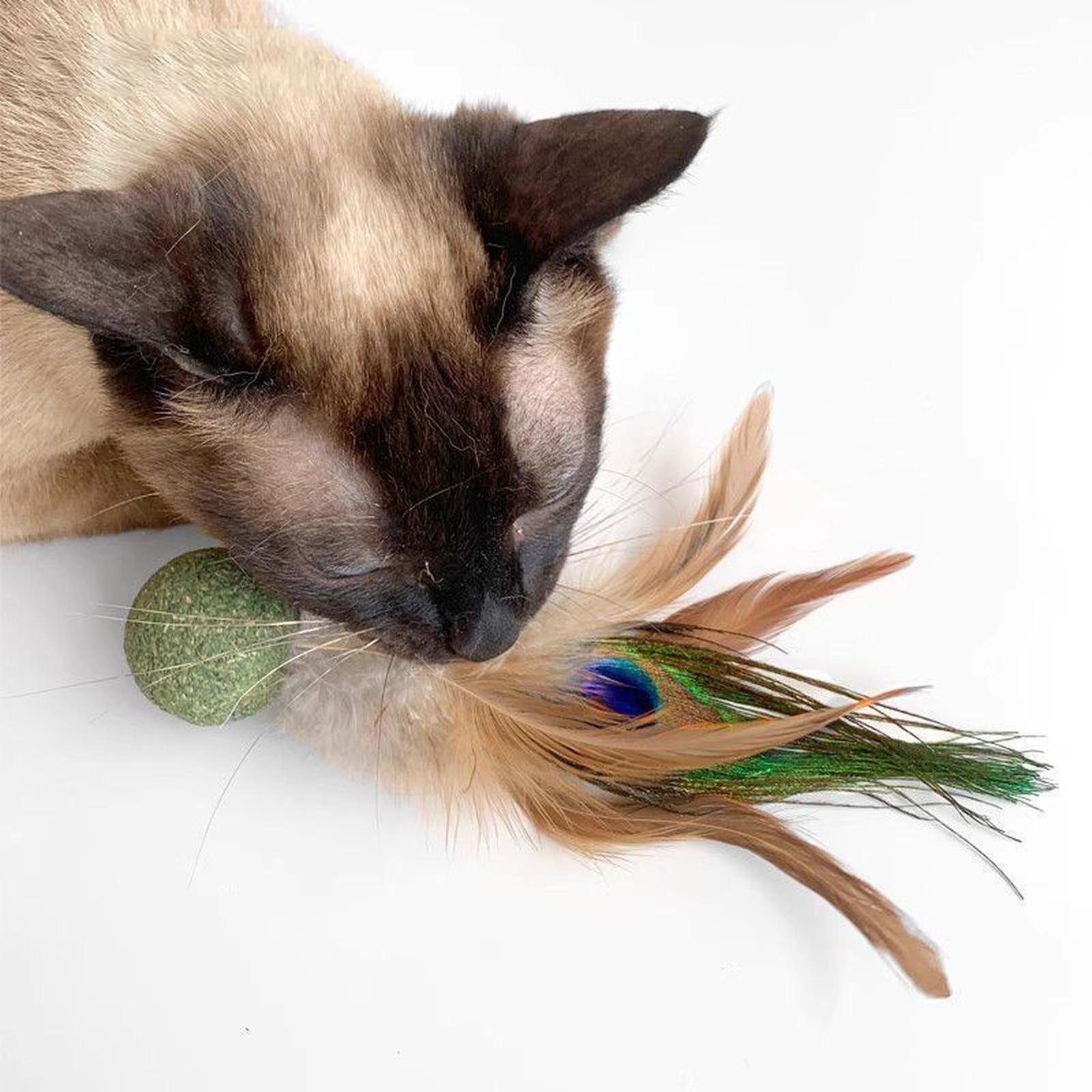 

Catnip Toys Set - Premium Catnip Balls for Indoor Cats, Interactive Chew Toys to Stimulate Exercise, Boredom and Enhance Bonding with Your Friends one size