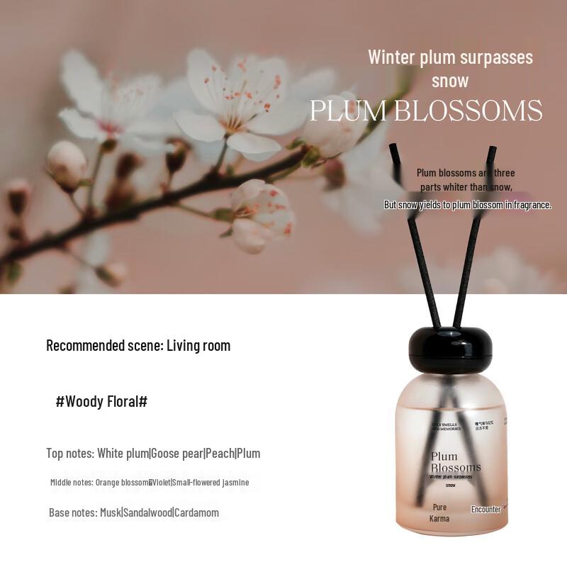 Аромадиффузор Ally без пламени