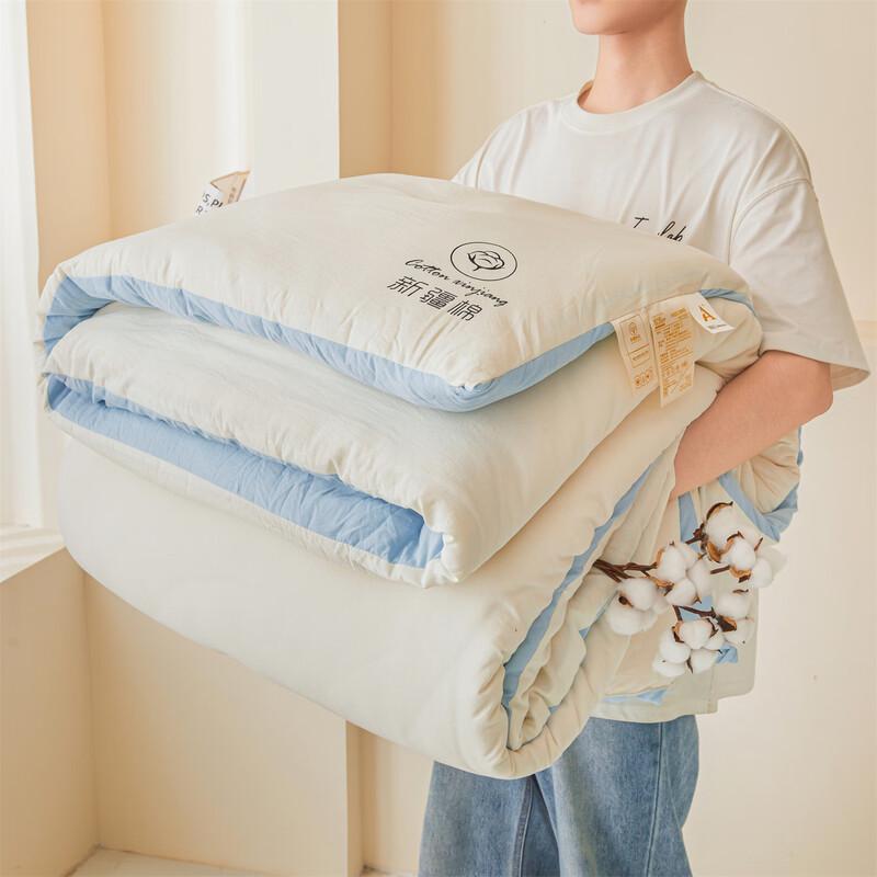 Red Bean Thickened Xinjiang Cotton Winter Quilt