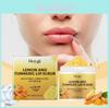 Hoygi Ginger Turmeric Lemon Lip Scrub Nourishing Hydrating Exfoliating Balm 100g For Soft Moist Lips