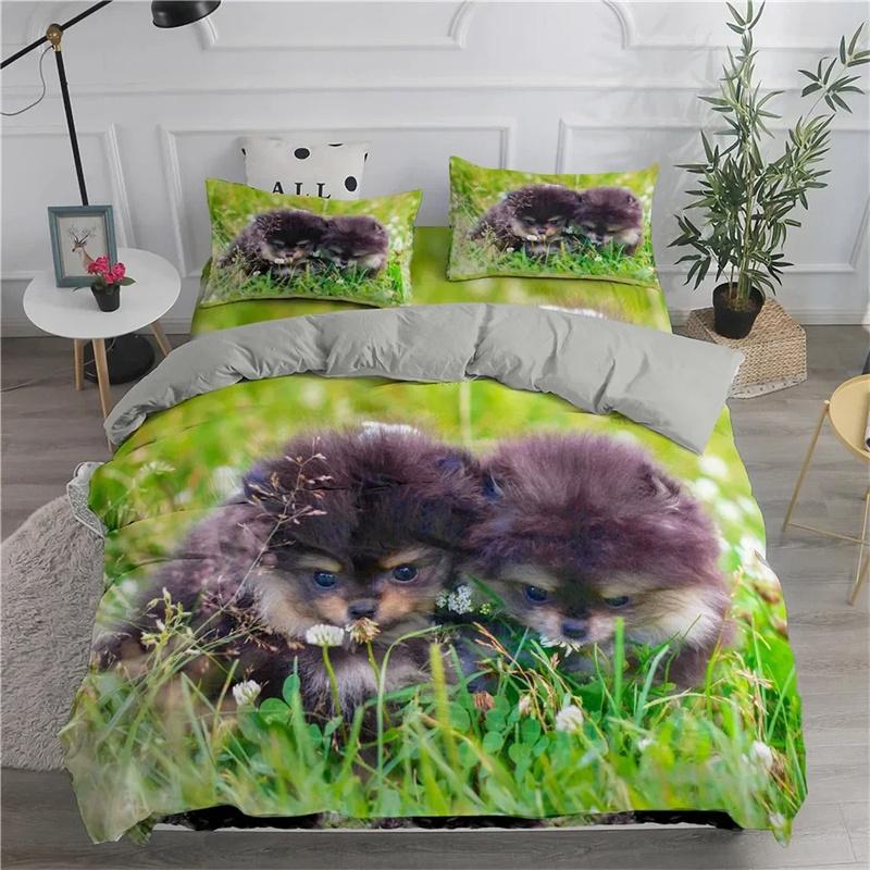 Vibrant Warm Pomeranian Dog Puppy for Teens Adults Pet Animal Colorful Sky 2 3pcs Polyester King Queen Quilt