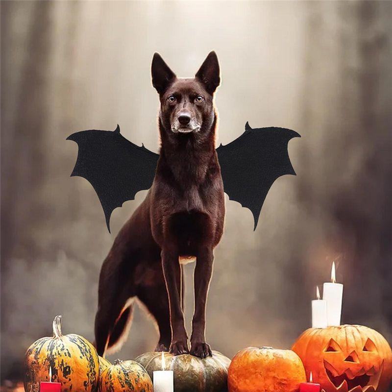 Practical-Festive Halloween Dog Costume Bat Wings Outfit For Club Outdoor Dress Up For Dogs Prop