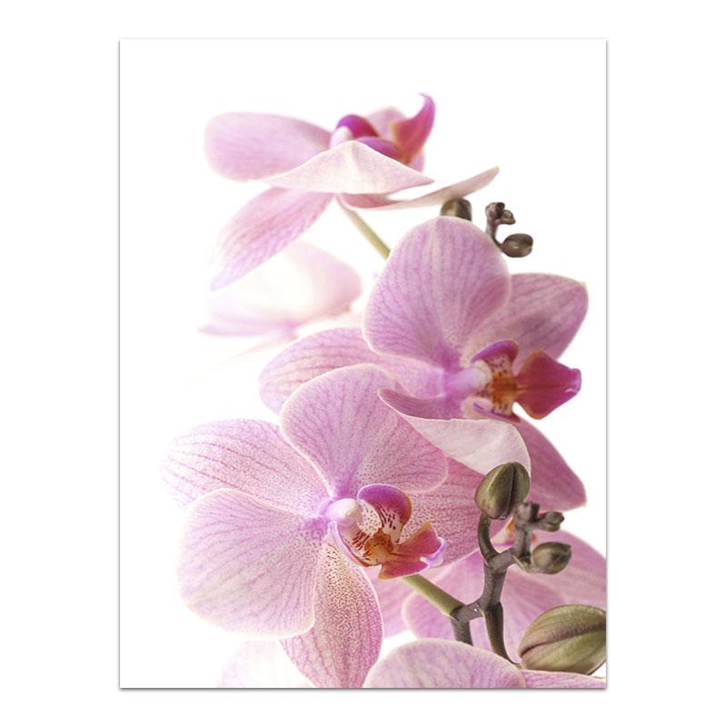 

Розовые постеры и принты с цветами Любовь Холст Живопись Лепесток Декоративная картина для комнаты девочки Настенное искусство Скандинавский декор Постер 21x30cm No Frame