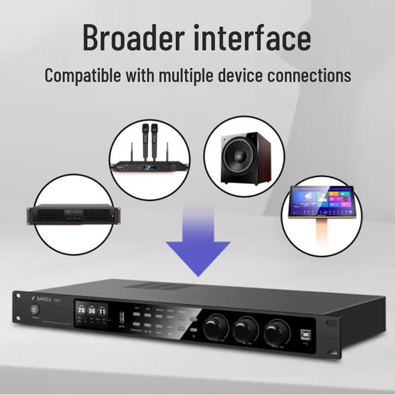 SANSUI DSP1 Professional Anti-Howling Audio Processor CN plug (adapter included)