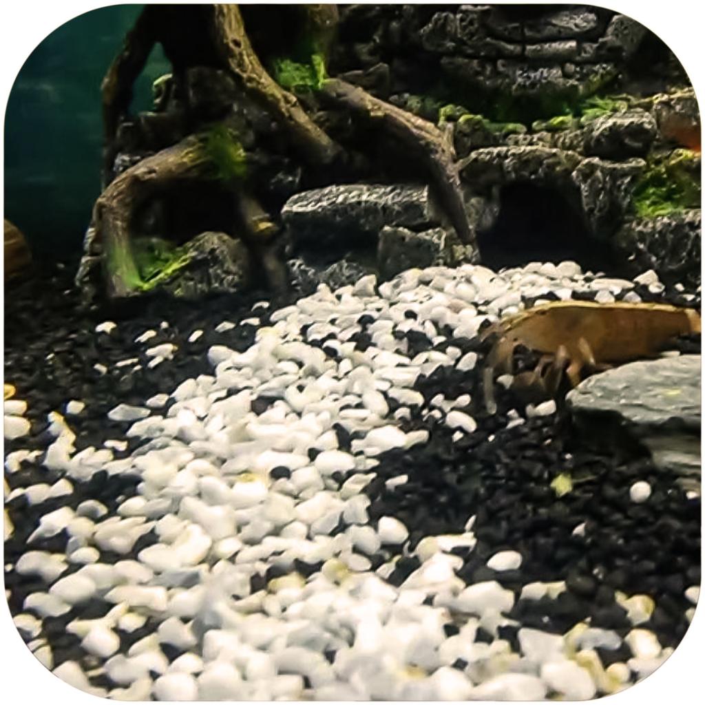 Eco Plant Black River 1Kg - Grit Black 2-5Mm