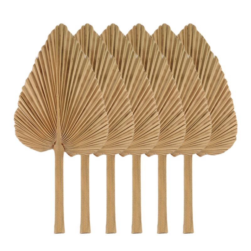 ABBY-6PCS Dried Palm Leaves Natural Dried Palm Fans,Large Palm Spear For Boho Wedding Decor,Tropical Palm Leaves Decoration Dura