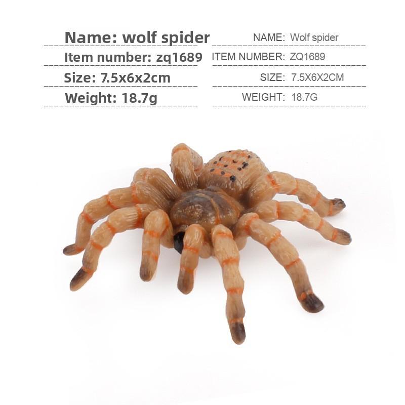 Spider Model Set With Plastic Material For Home Decor And Gift For Nature Lovers