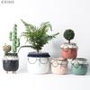 Creative Abstract Black Frame Glasses Head Ceramic Flower Pot Vase Succulents Cactus Potted Garden Decor Human Face Flower Pot