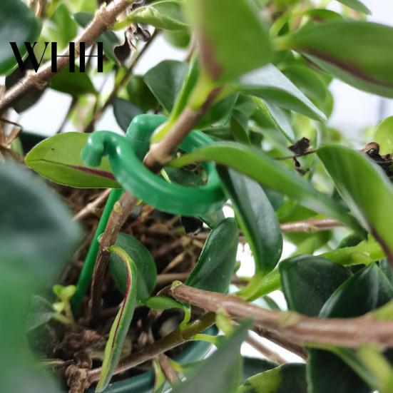 Twist Prevention Plant Support Stake 10Pcs Stakes Slot Design Easy to Use Versatile Application Indoor Heavy Rain Flower Stand Outdoor Single