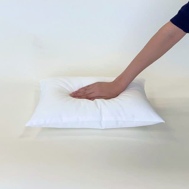 Kawashima Selkon Textiles (KAWASHIMA SELKON TEXTILES) Nude Cushion, 45x25cm, LT1510, Made in Japan, Compressed, White