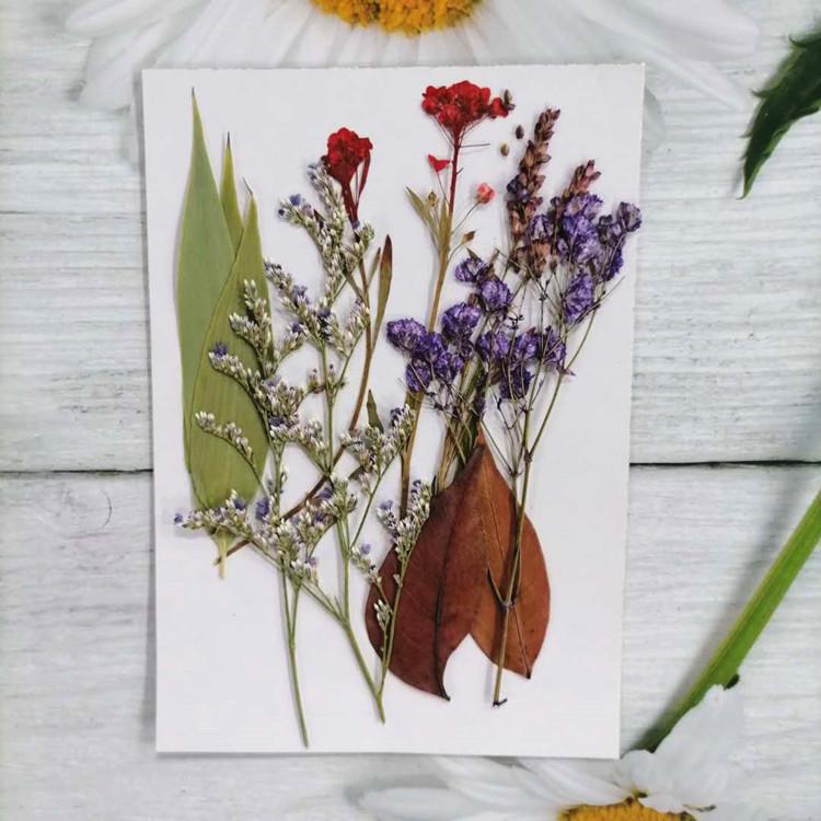 Pressed Dried Flower DIY Kit: Bookmark, Resin, & Phone Case Embossing Materials