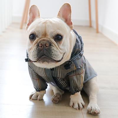 Bekleidung & Schuhe – Regenmäntel für Hunde