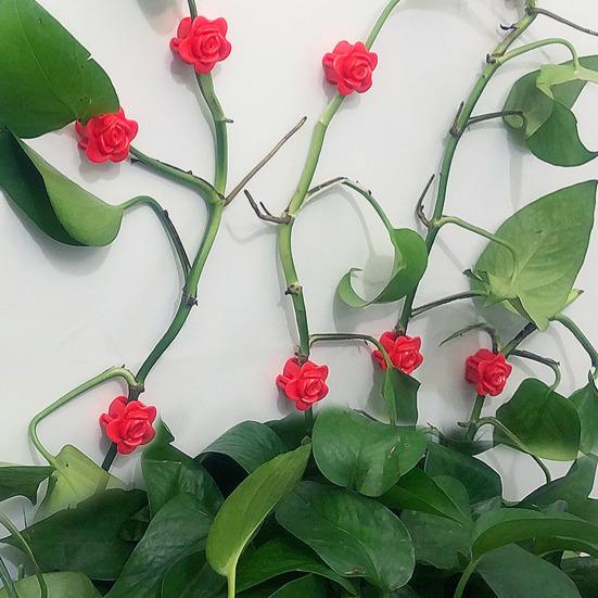 50 stk Plantestammeholder Roseformet veggklatreplante vinrankeholder Veggmontert Gjenbrukbare vinrankefesteklemmer for innendørs utendørsplanter