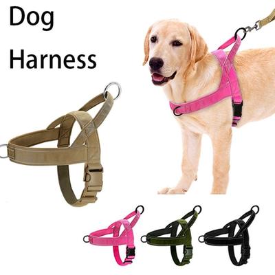 Hunde – Hundehalsbänder & Leinen