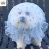 Giyim ve ayakkabı – Köpek Aksesuarları