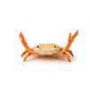 1PC Funny Crab Desktop Pen Holde Weightlifting Crabs Penholder Bracket Storage Rack Stationeryr Creative Cute Crab Pen Holder