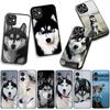 Phone Cover Animal Lovely Husky Dog Casing for Apple iPhone 17 16 11 Pro XS Max XR 6 7 8 Plus + 16E SE 2020 Air 5 8+ Case