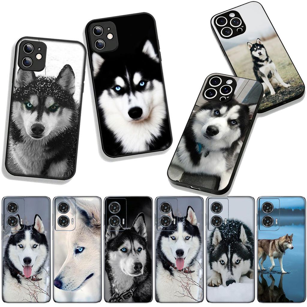 Phone Cover Animal Lovely Husky Dog Casing for Apple iPhone 17 16 11 Pro XS Max XR 6 7 8 Plus + 16E SE 2020 Air 5 8+ Case