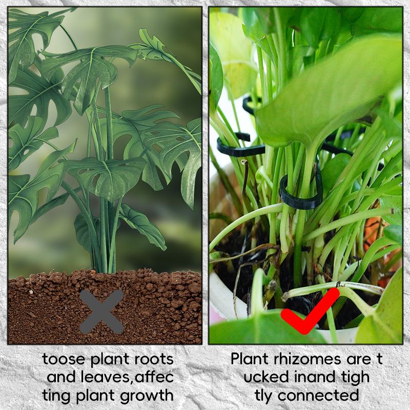 4Pcs Plants Stem Support Black/Red/Green Plastic Trellis Easy Installation Vine Plants Trellis for Indoor and Outdoor Plants