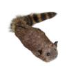 Magician Props Lifelike Moving Raccoon Spring Powered Raccoon Magic Tricks  Educational