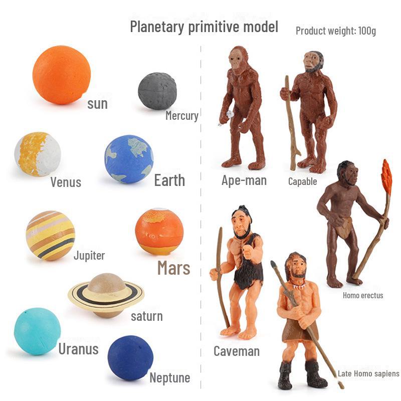 

Трансграничная детская игрушка: Моделирование циклов роста животных и растений