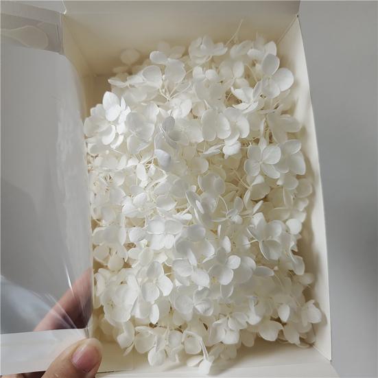 Excellent Dried Flower Heads Eye-catching 21 Styles Decorative