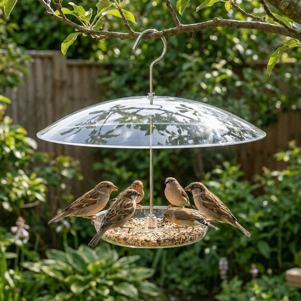 UV Protection Umbrella Bird Feeder Clear Dome Hanging Bird Feeder Baffle  Balcony Garden