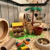 Puzzle Toy Hamster Food Box Wear-resistant Small Pet Feeder Hamster Foraging Toys  Small Pet Birds